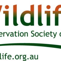 Wildlife Queensland Thumbnail